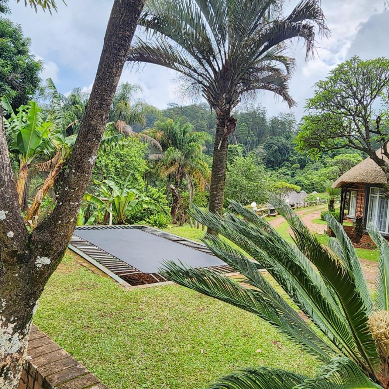 Magoebaskloof Mountain Lodge تزانين المظهر الخارجي الصورة