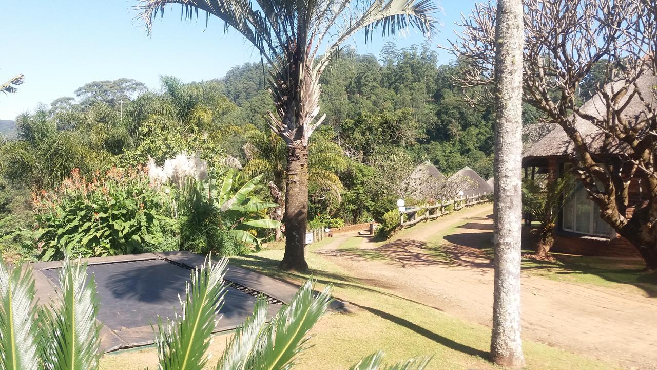 Magoebaskloof Mountain Lodge تزانين المظهر الخارجي الصورة