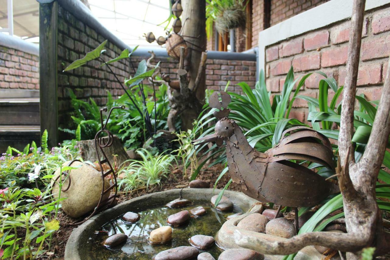 Magoebaskloof Mountain Lodge تزانين المظهر الخارجي الصورة
